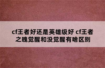 cf王者好还是英雄级好 cf王者之魄觉醒和没觉醒有啥区别